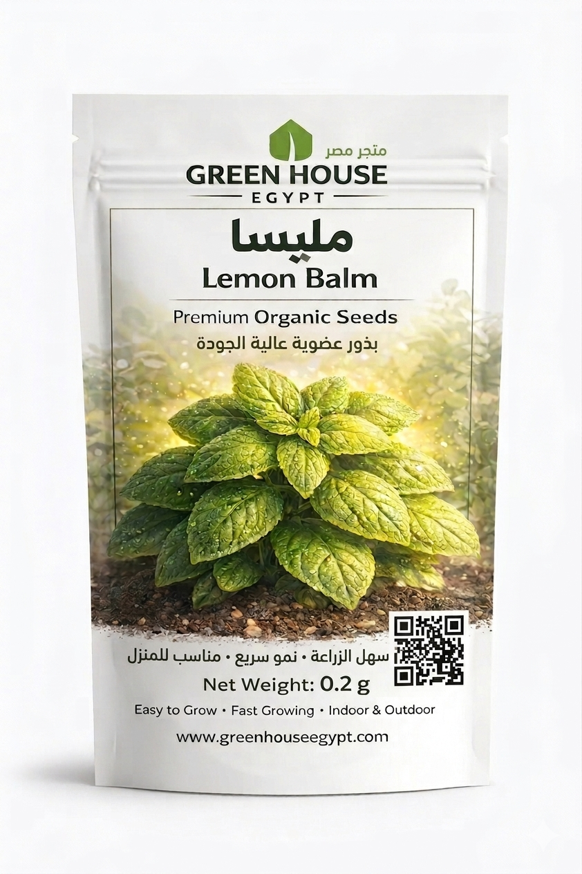 بذور مليسا – Lemon Balm Seeds