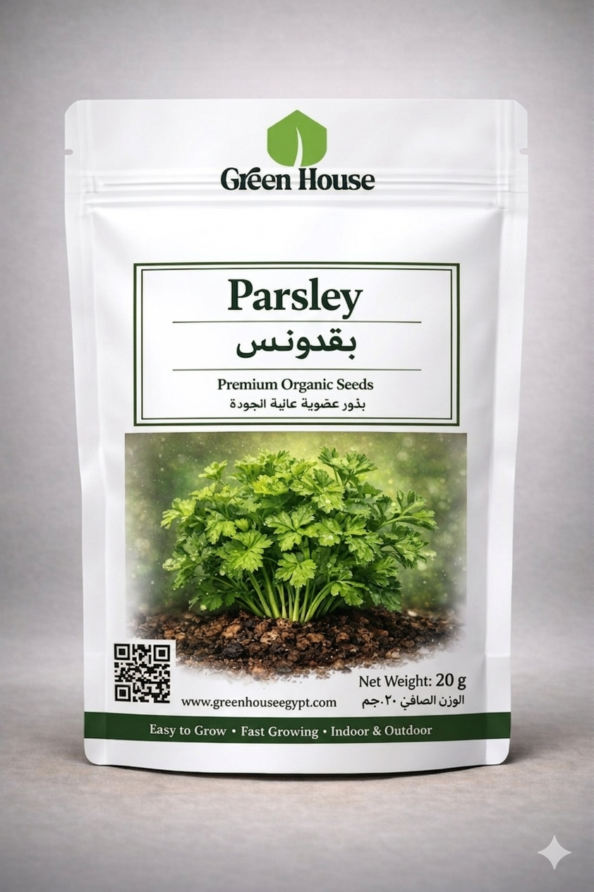 🌿بذور بقدونس – Parsley Seeds