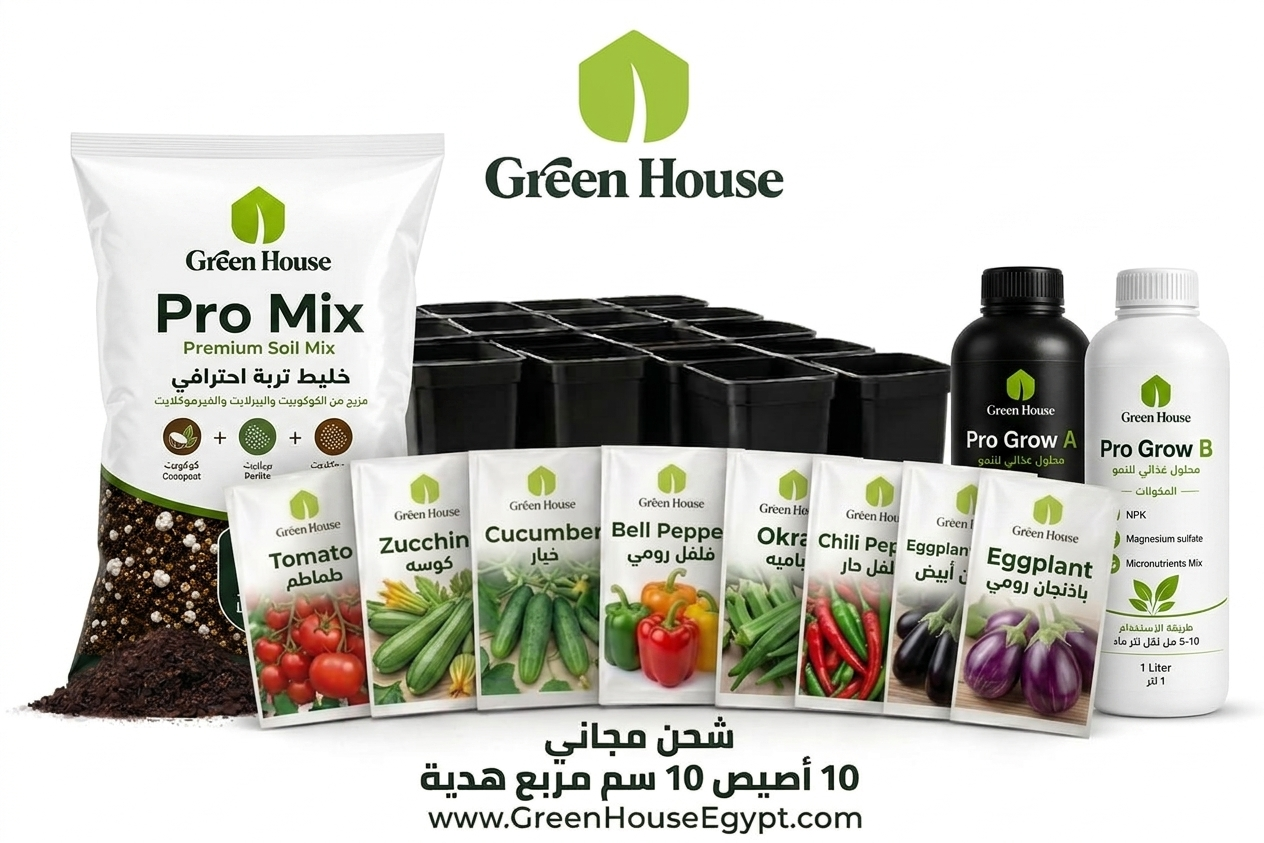 عرض بذور الثمريات