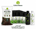 باقة الروائح الذكية: عرض بذور الأعشاب العطرية المتكامل 🌿☕