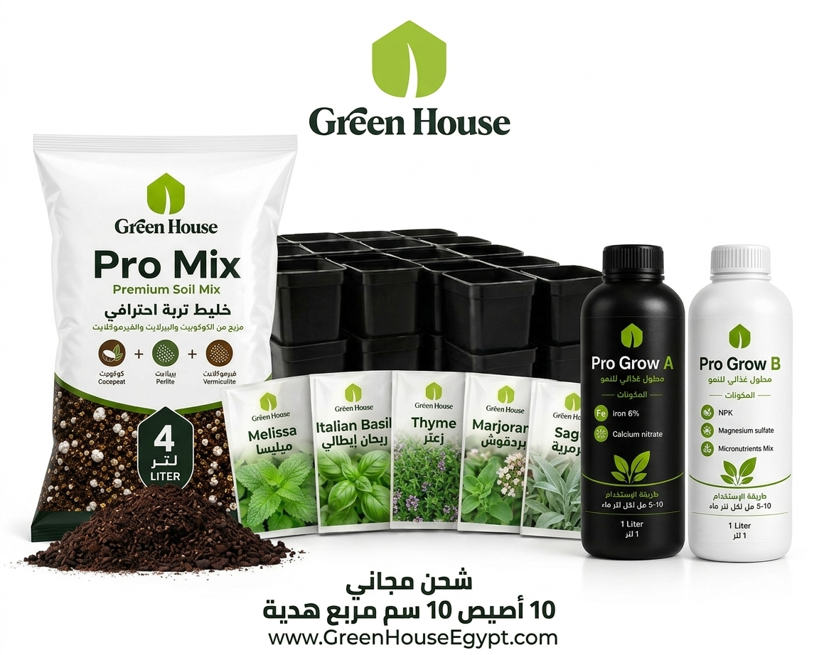 باقة الروائح الذكية: عرض بذور الأعشاب العطرية المتكامل 🌿☕