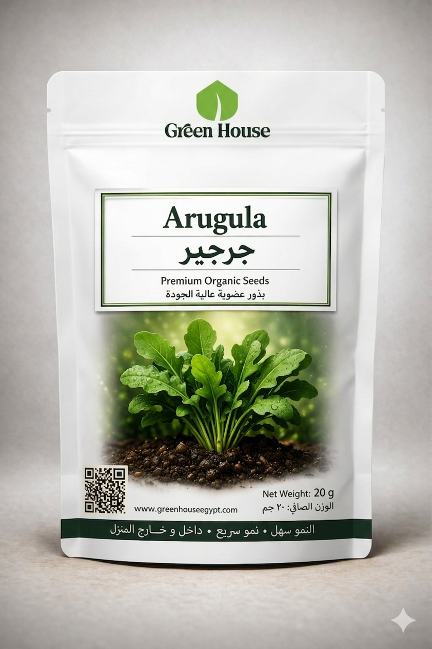🌱بذور جرجير – Arugula / Rocket Seeds